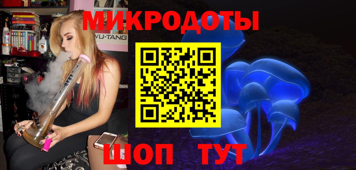 Галлюциногенные грибы Psilocybe Кудрово