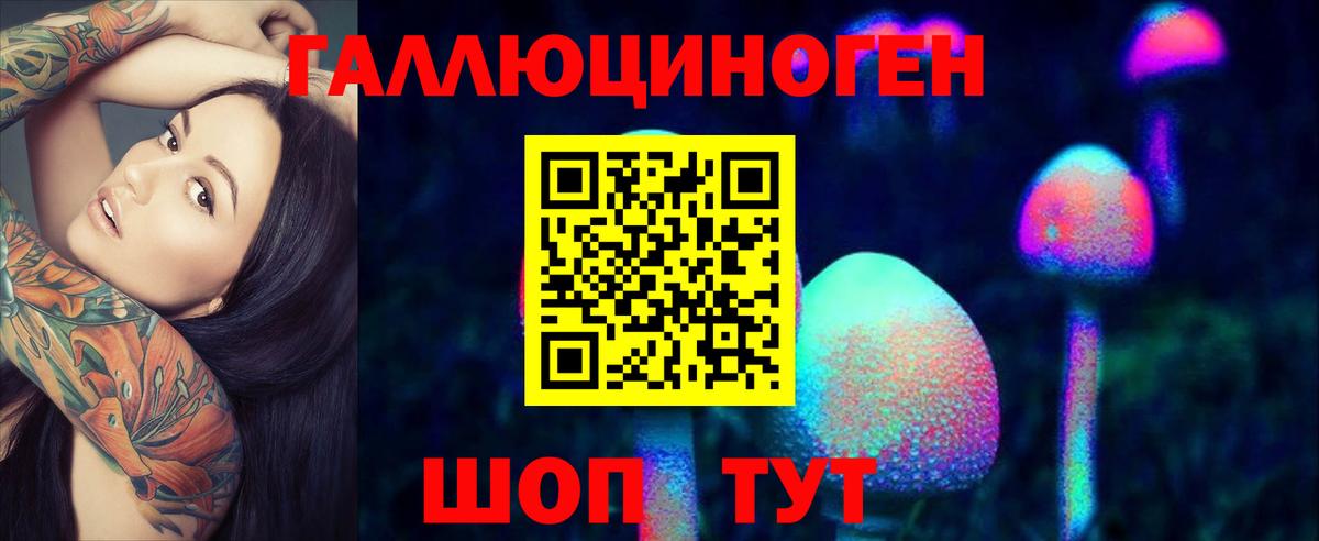 Псилоцибиновые грибы прущие грибы  Вход с VPN  Псилоцибиновые грибы ЛСД  Кудрово 